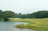 Clearwater Sanctuary Golf Resort - Green
